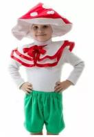 Карнавальный костюм Гриб Мухомор для детей 3-5 лет рост 104-116