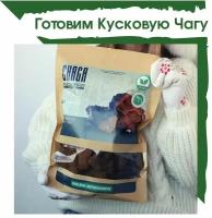 Кусковая чага натуральная березовая 1000 грамм