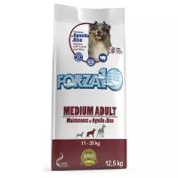 Сухой корм FORZA10 MEDIUM ADULTдля взрослых собак средних пород с ягненком и рисом 12,5кг