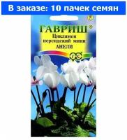 Цикламен "Гавриш" Анели персидский мини 3шт