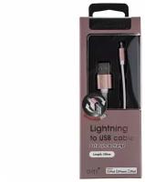 Кабель USB - Lightning, 1м, PQI (6ZC190701R004A)