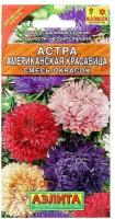 Семена цветов Астра "Американская красавица", смесь окрасок, О, 0,2 г