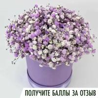 Букет из лавандовой гипсофилы в коробке. Живые свежие цветы LoVa Flowers