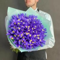 Букет «51 синий ирис», цветочный магазин Wow Flora