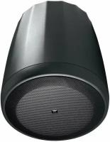 Акустическая система JBL C65P/T black