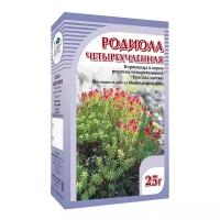 Родиола четырехчленная (красная щетка), корни, 25 г (Хорст)