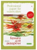 Папка для рисования акварелью Альт А3 8 листов, 888156