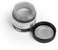 Holly Professional Грим на гелевой основе / краска для лица, волос и тела Color Gel Silver