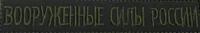 Нашивка шеврон вышитый на грудь "ВС России" для Сухопутных войск на липучке полевой (уставная)