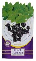 Ароматизатор Гринфилд Фруктовая композиция Black Currant