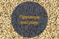 Солод Soufflet "Premium pilsner, 3-4 EBC" (Премиум Пилзнер), Франция, 10 кг, без помола