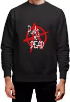 Мужской свитшот «punk not dead, анархия, панк, рок» (2XL, черный)