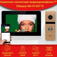 Комплект видеодомофона Olesya Wi-Fi AHD1080P Full HD (911go), Серый, 7 дюймов / в квартиру / в подъезд