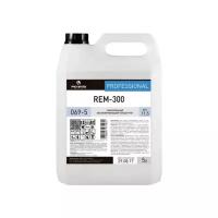 Низкопенный обезжиривающий концентрат Pro-Brite REM-300 5л