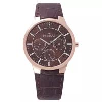 Наручные часы SKAGEN 331XLRLD