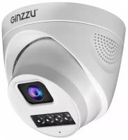 IP камера видеонаблюдения Ginzzu HID-4301A
