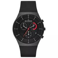 Наручные часы SKAGEN SKW6075