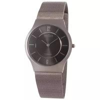 Наручные часы SKAGEN 233LTTM