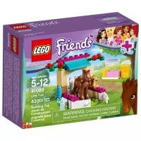 LEGO Friends 41089 Жеребенок