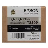 Картридж Epson C13T850900