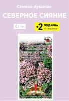 Семена Душица (Орегано) обыкновенная "Северное сияние", 0,1 гр. + 2 Подарка