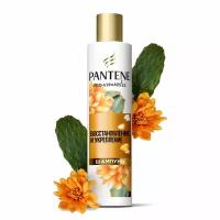 PANTENE Pro-V Miracles Шампунь Восстановление и укрепление для защиты волос от повреждений / Пантин / 250мл