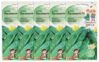 Набор семян Огурец Пасамонте F1 10 шт Детская грядка - 5 уп