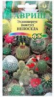 Семена комнатных цветов Кактус Непоседа, смесь,Мн, 0,05 г