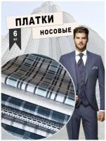 Носовые платки мужские набор 6 шт из хлопка Россия
