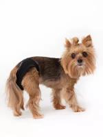 Трусы для собак трикотажные OSSO Fashion, р. XXL( обхват талии 44-70 см)
