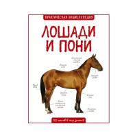 Бедуайер К. "Практическая энциклопедия. 50 шагов в мир знаний. Лошади и пони"