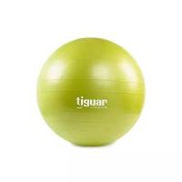 Мяч гимнастический Tiguar, 55 см