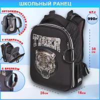 Ранец школьный deVENTE. Choice. Tiger, 38*28*16 см 2 отд, часы 7033219