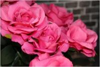 Искусственные розы, букет цветов для декора и флористики, 49 см
