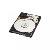 Жесткий диск Western Digital 500 ГБ WD Scorpio Black 500 GB (WD5000BEKT)