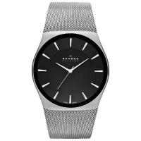 Наручные часы SKAGEN SKW6019