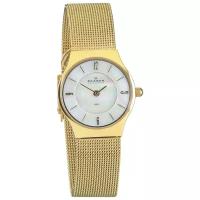 Наручные часы SKAGEN 233XSGG