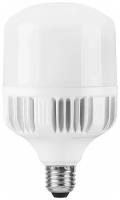 Лампа светодиодная Feron LB-65 25539 E27-E40 50W 6400K холодный белый