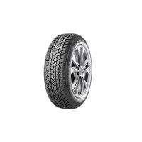 GT Radial 195/55R16 91H XL WinterPro 2 TL