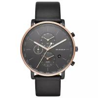 Наручные часы SKAGEN SKW6300