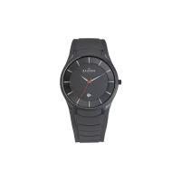 Наручные часы SKAGEN 955XLSMRM