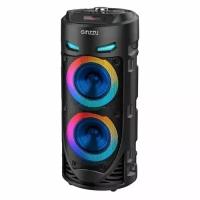 Музыкальный центр Ginzzu GM-220, 24Вт, с караоке, Bluetooth, FM, USB, micro SD, черный