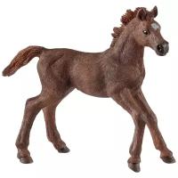 Фигурка Schleich Жеребенок породы чистокровная верховая 13857, 8 см