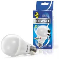 Лампа светодиодная Ecowatt, A60 E27 9W 230V 4000K Cold White E27, A60, 9Вт, 4000К