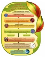 Стенд учебный информационный Биология Уровни организации живой природы