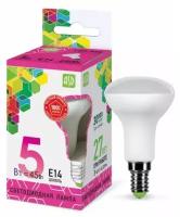 Лампа светодиодная LED-R50-standard 5Вт 230В Е14 6500К 450Лм ASD (5 штук)