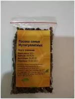 Перга пчелиная натуральная (пчелиный хлеб), 100 гр., сбор 2023 г