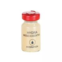 HIKARI Laboratories Hydration Hydra Meso-cocktail Глубоко увлажняющий мезококтейль для лица