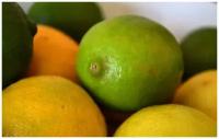 Картина на холсте 60x110 LinxOne "Лайм, лимон, фрукт, цитрус" интерьерная для дома / на стену / на кухню / с подрамником
