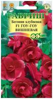 Гавриш, Бегония Гоу-гоу вишневая F1 клубневая гранул. 4 шт. пробирка